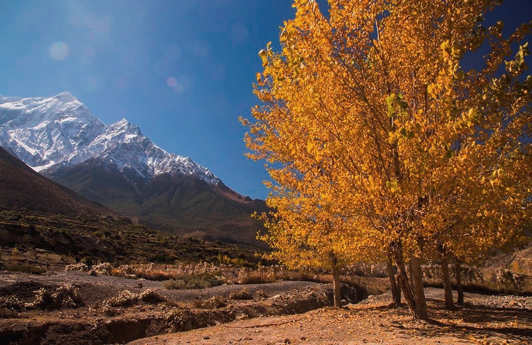 Photo: Himalayan Travellers Nepal Photo: Himalayan Travellers Nepal