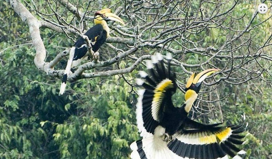 Photo: Nepal Guide Treks & Expedition Photo: Nepal Guide Treks & Expedition