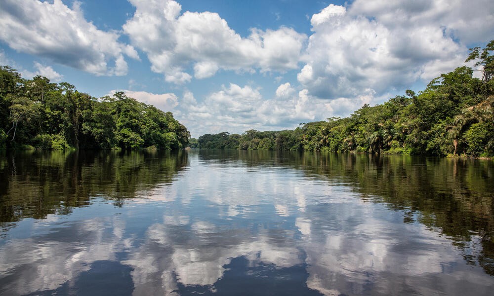 Photo: World Wildlife Fund Photo: World Wildlife Fund