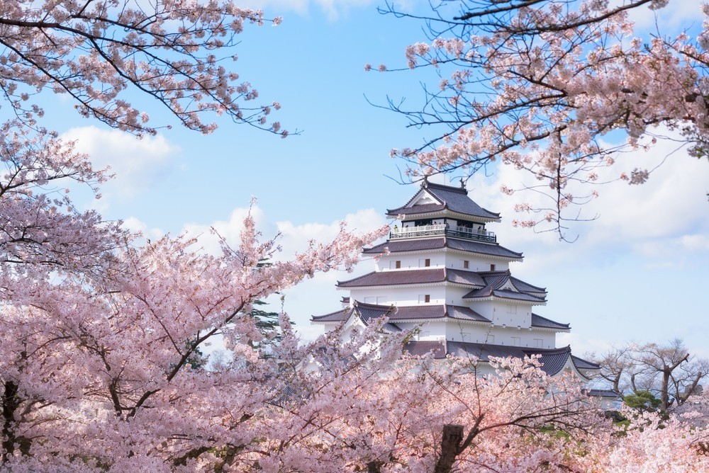 Photo: FUN! JAPAN Photo: FUN! JAPAN