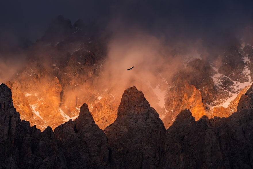 An Eagle Flying Over The Tops Of The Ala-Archa Mountains. Photo: Albert Dros An Eagle Flying Over The Tops Of The Ala-Archa Mountains. Photo: Albert Dros