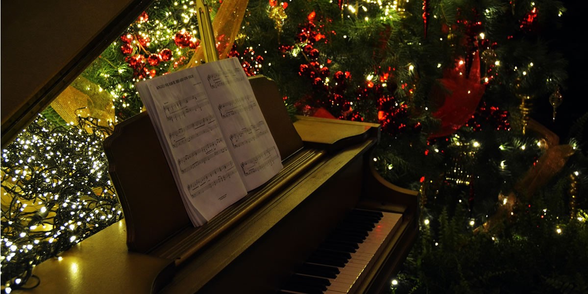 Photo: UnderTheChristmasTree Photo: UnderTheChristmasTree