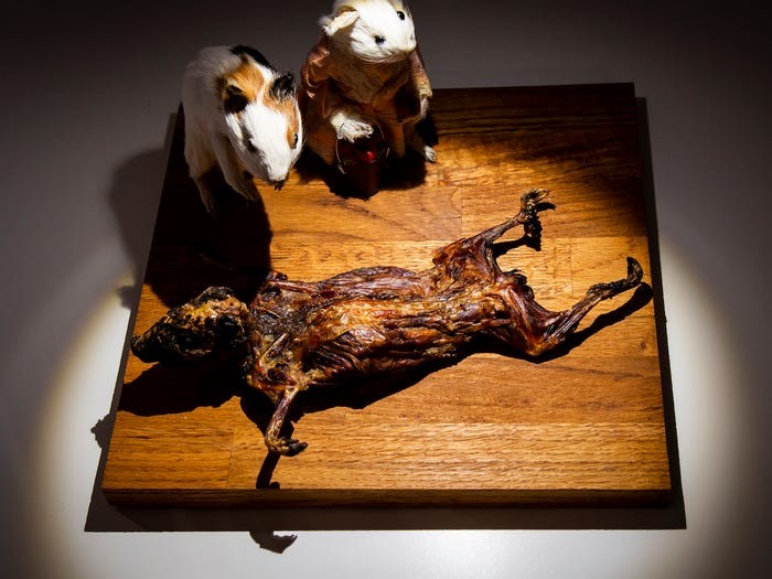Peruvian Cuy. Anja Barte Telin / The Disgusting Food Museum Peruvian Cuy. Anja Barte Telin / The Disgusting Food Museum