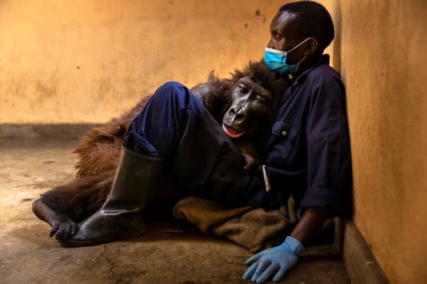Photo: Brent Stirton/Getty Images Photo: Brent Stirton/Getty Images