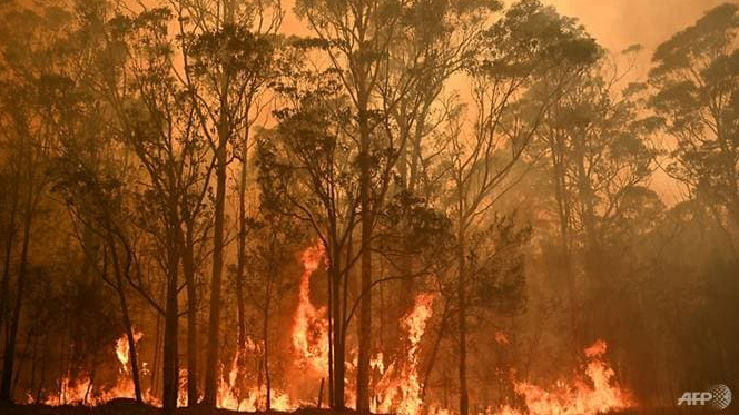 Australia's massive fires could become routine, climate scientists warn australias massive fires could become routine climate scientists warn