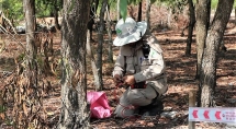 nparenew assist quang tri efforts in covid 19 fight
