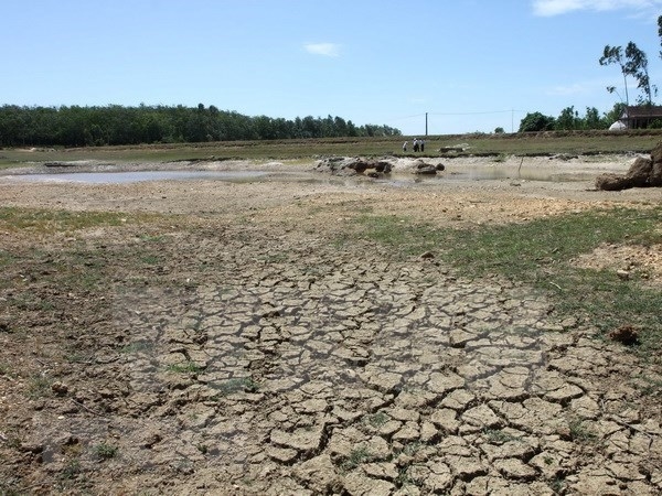 Strengthening climate change adaptation capacity in ca mau