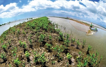netherlands vietnam sustainable business event for the mekong delta