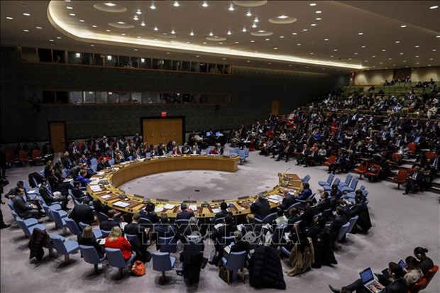 Vietnam affirms support for Palestinian people’s struggle for inalienable rights vietnam affirms support for palestinian peoples struggle for inalienable rights