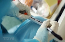 coronavirus twenty two korean and thai tourists quarantined in da nangs hospital
