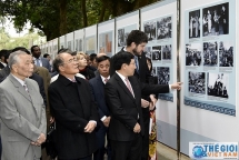 vietnamese infinite affection towards president ho chi minh through 500 stamp collages