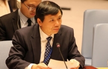 vietnam solar rooftop energy industry is expected to grow quickly