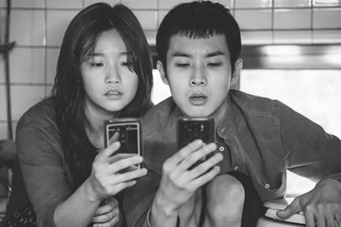 Black-and-white “Parasite” reaches Vietnam’s cinemas black and white parasite reaches vietnams cinemas