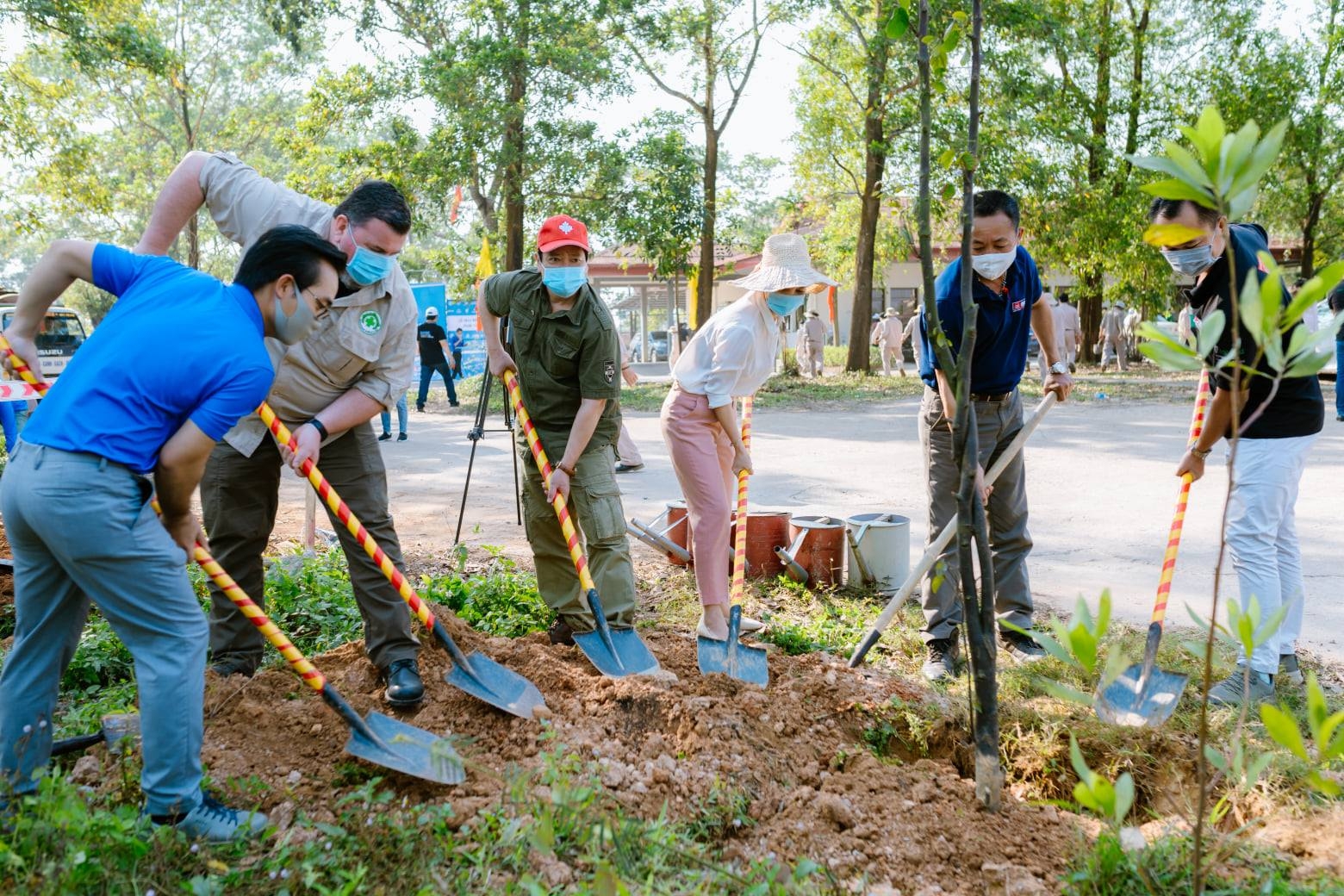 NGOs participate in tree-planting festival in Quang Tri NGOs participate in tree planting festival in Quang Tri