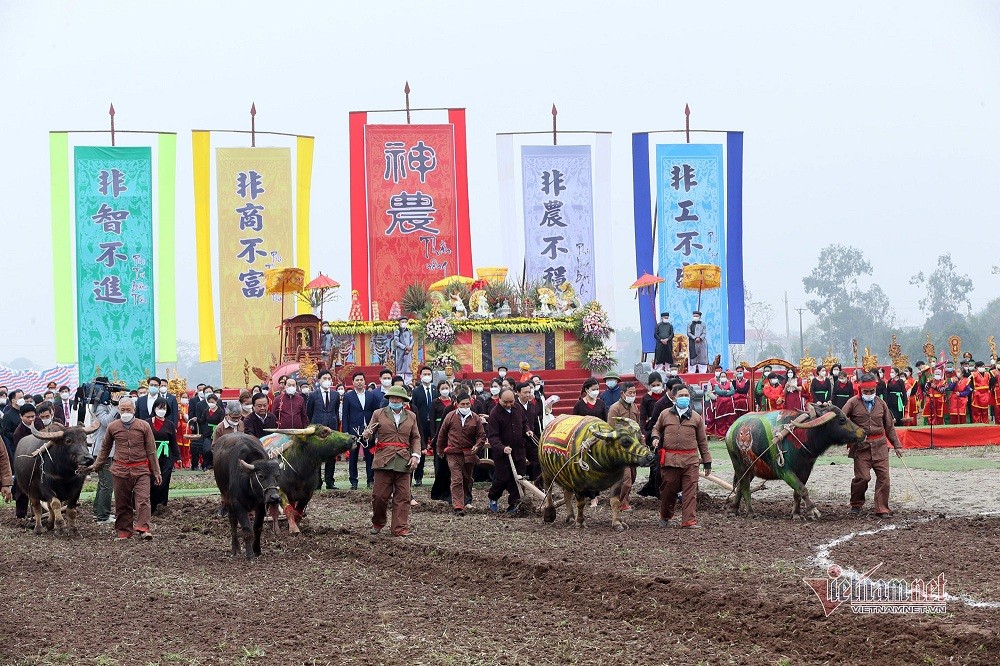 State President Attends Traditional New Year Ploughing Festival in Ha Nam State President Attends Traditional New Year Ploughing Festival in Ha Nam