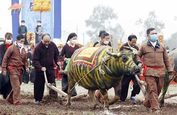 State President Attends Traditional New Year Ploughing Festival in Ha Nam State President Attends Traditional New Year Ploughing Festival in Ha Nam