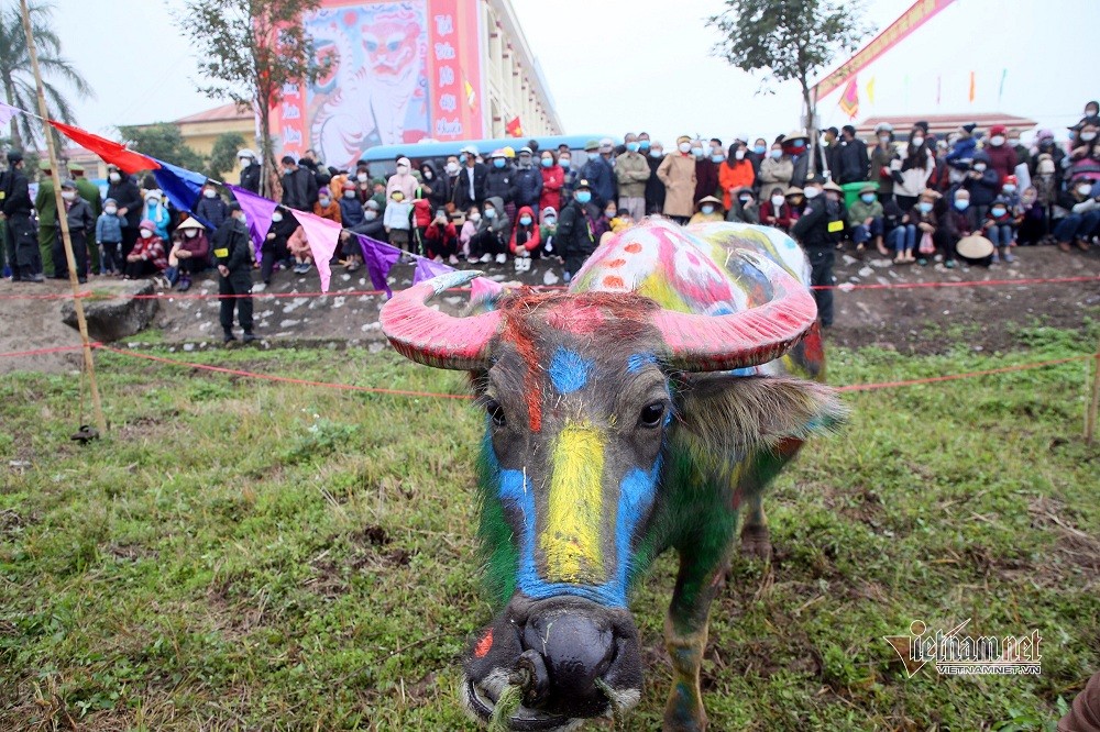 State President Attends Traditional New Year Ploughing Festival in Ha Nam State President Attends Traditional New Year Ploughing Festival in Ha Nam