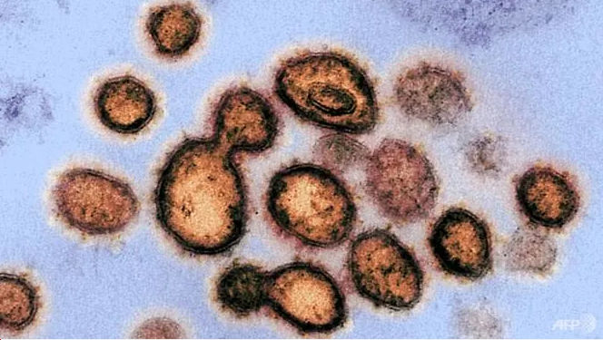 How to ward off coronavirus in rooms and toilets how to ward off coronavirus in rooms and toilets