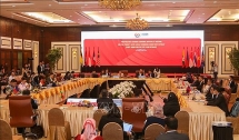 vietnam export today