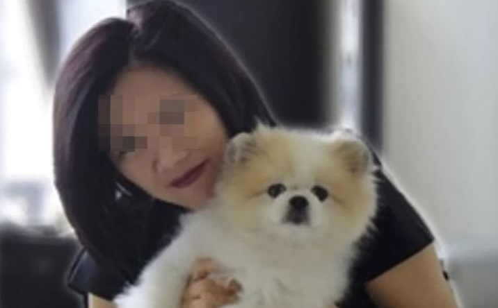 The first pet dog infected with COVID-19 in Hong Kong has died first pet dog infected with covid 19 in hong kong has died
