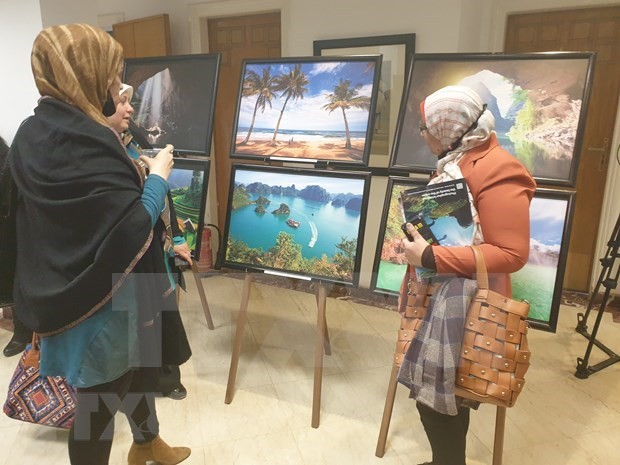 Tourism Programmes Increased to Meet Vietnam's Travel Demand of Egyptian Tourism Programmes Increased to Meet Vietnam's Travel Demand of Egyptian