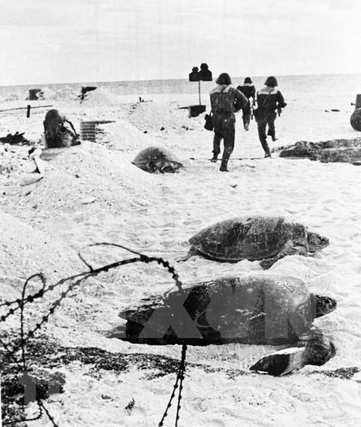 in photo liberation of truong sa archipelago