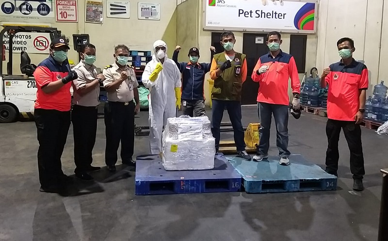 500 Vietnamese-manufactured COVID-19 test kits arrived in Indonesia 500 vietnamese manufactured covid 19 test kits arrived in indonesia