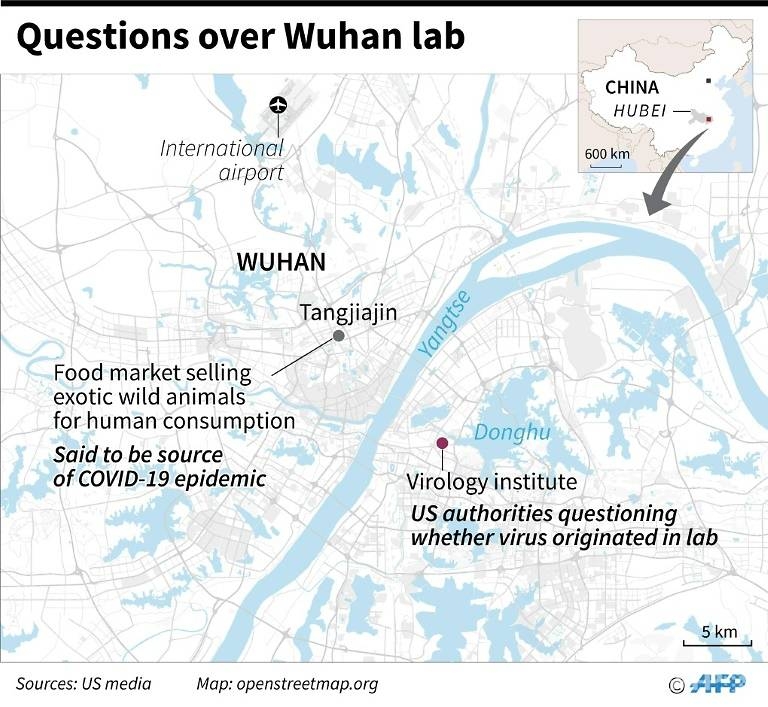 WUHAN LAB: Mystery deepens over the source of the coronvirus? wuhan lab the source of the coronavirus
