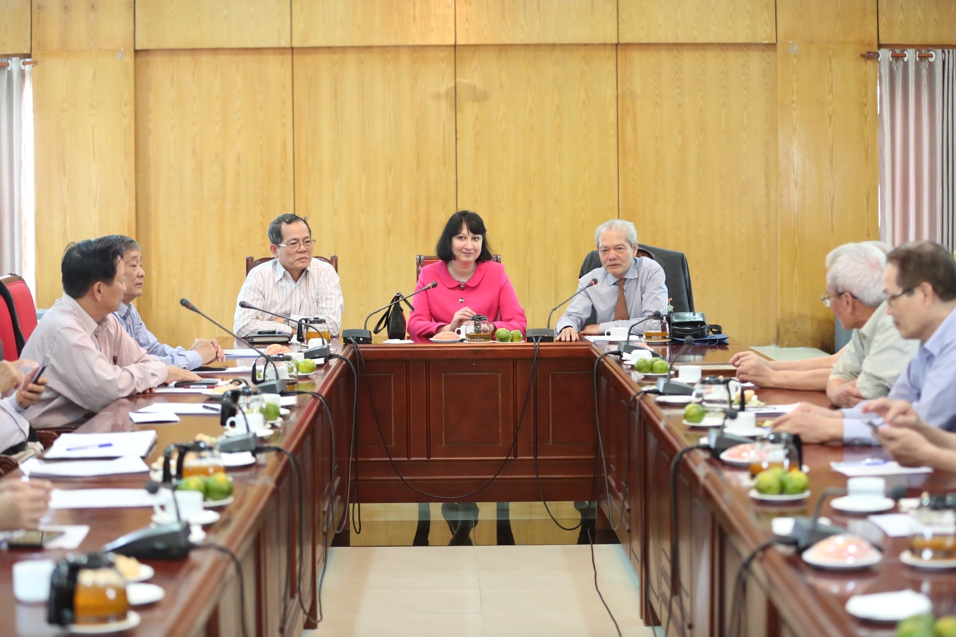 VUFO Chairwoman receives new Romanian Ambassador to Vietnam VUFO Chairwoman receives new Romanian Ambassador to Vietnam