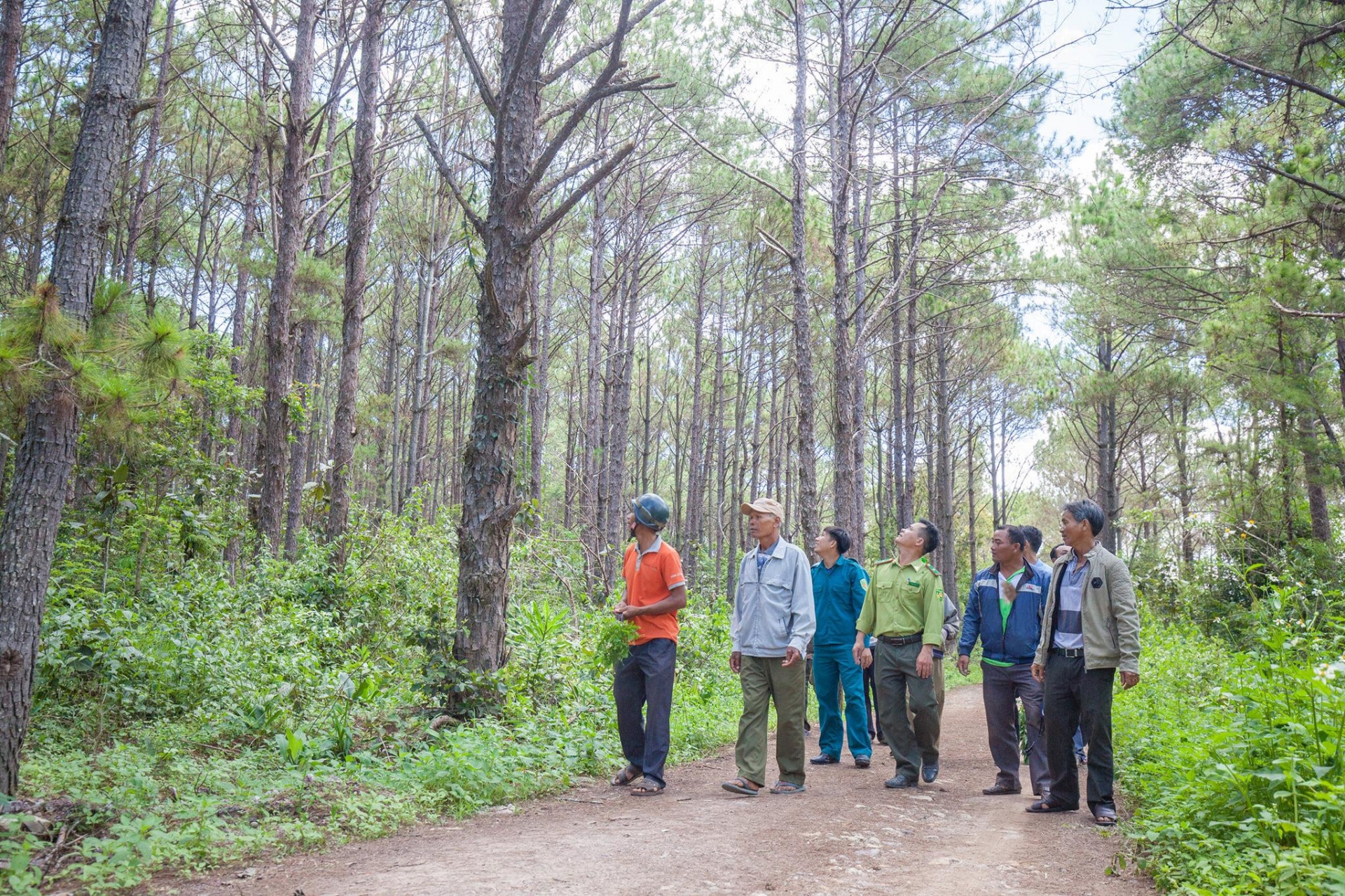 USAID Sustainable Forest Management and Biodiversity Conservation projects launched in Vietnam