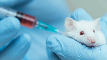 a landmark partnership announced for development of covid 19 vaccine in the uk