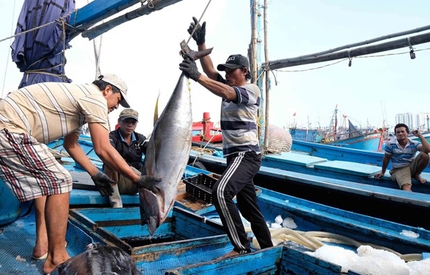 MARD: China's fishing ban in East Sea carries no weight whatsoever mard chinas fishing ban in east sea carries no weight whatsoever