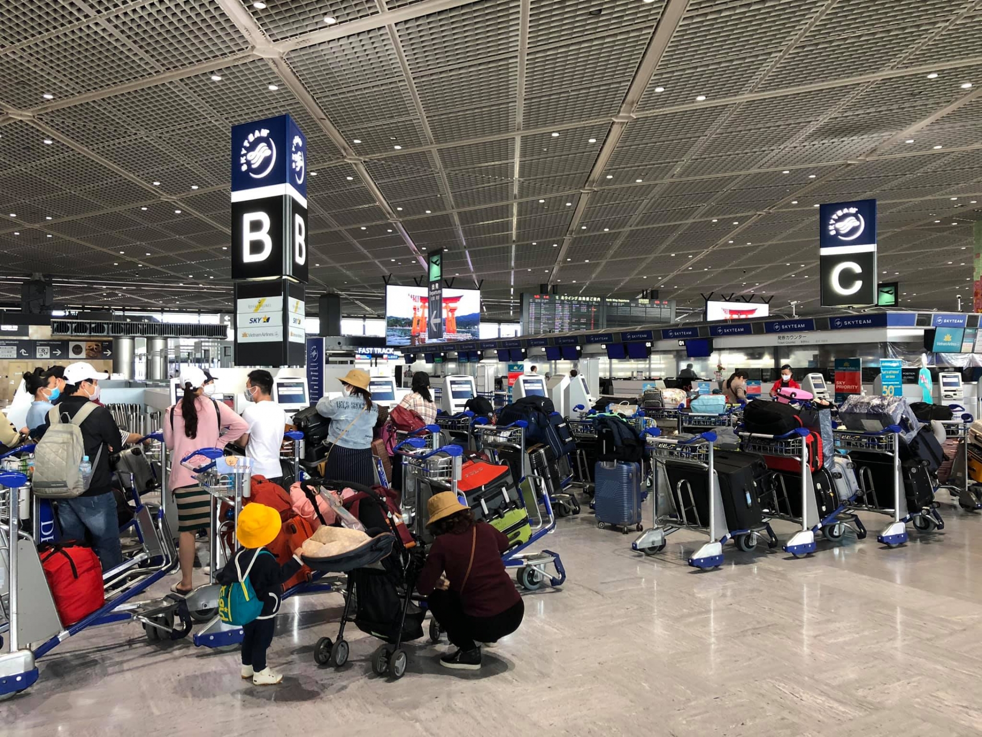 Over 300 stranded Vietnamese successfully fly home from Japan over 300 stranded vietnamese successfully fly home from japan