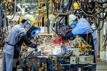 Vietnamese market remains attractive to Austrian firms amidst COVID-19