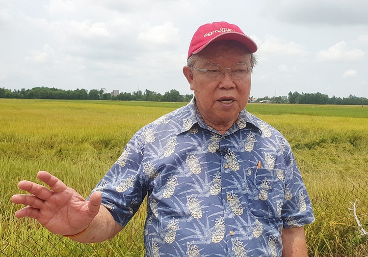 Japan to confer Order of the Rising Sun decoration to Vietnamese professor Japan to confer Order of the Rising Sun decoration to Vietnamese professor