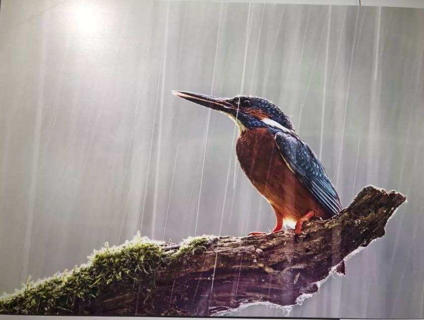 Photo Exhibition Highlights Natural Beauty in Visegrad Group Countries in HCM City Photo Exhibition Highlights Natural Beauty in Visegrad Group Countries in HCM City