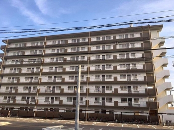 nearly 50 vietnamese trainees in japan test covid 19 positive