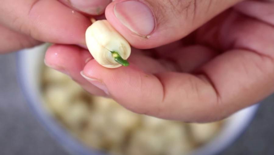 Vietnamese Home Cooking Recipe: Lotus Seed Sweet Soup with Dried Longan Vietnamese Home Cooking Recipe: Lotus Seed Sweet Soup with Dried Longan