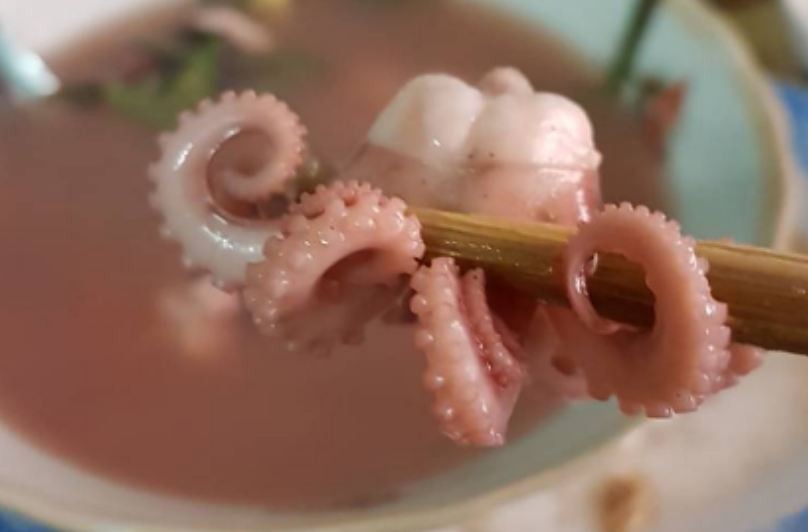 Mini octopus: Special local food of Ha Long Bay Mini octopus: Special local food of Ha Long Bay