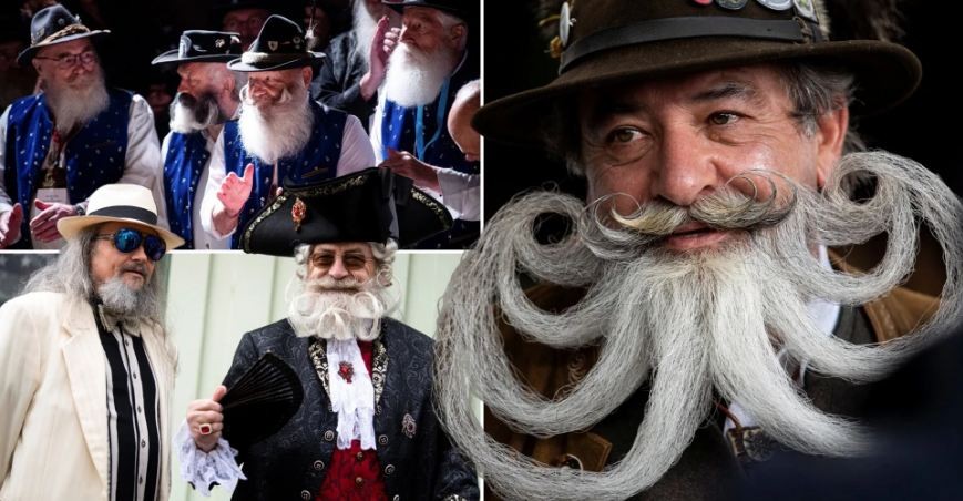 Check Out The Hairy Creations at German Moustache and Beard Championships 2021 Check Out The Hairy Creations at German Moustache and Beard Championships 2021