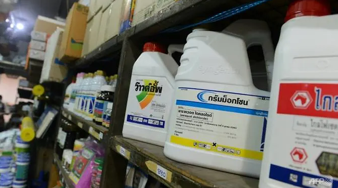 Thailand reverses ban on Glyphosate, permit use of other pesticides for 6 months thailand reverses ban on glyphosate permit use of other pesticides for 6 months