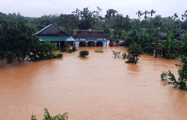 Netherlands announces over USD 2 million disaster relief aid for Vietnam Netherlands announces over usd 2 million disaster relief aid for vietnam