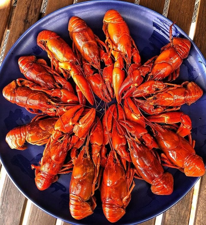 Various Autumn Dishes Around The World for Food Lovers