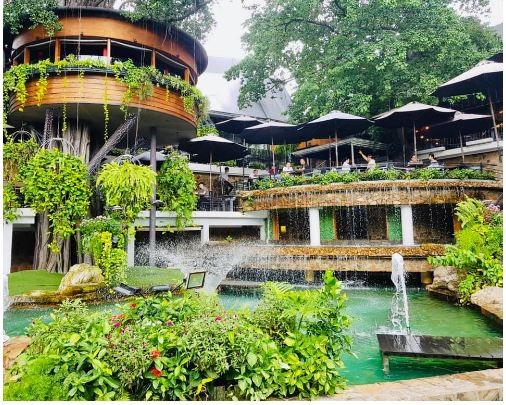12 Vietnam's Cafe Ranked Top80 in Asia 12 Vietnam's Cafe Ranked Top80 in Asia