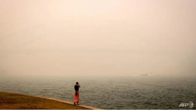Public health emergency: Bushfire haze choked Sydney for weeks public health emergency bushfire haze choked sydney for weeks