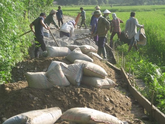 Ninh Binh's Kim Son district: Four focal areas of development ninh binhs kim son district four focal areas of development