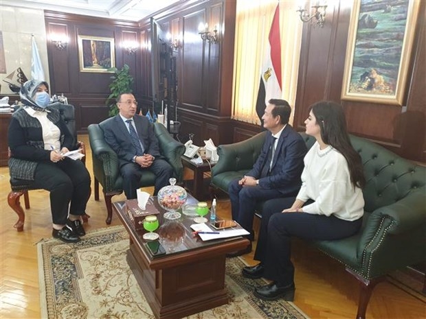 Online exchanges connect Vietnam, Egypt enterprises amid COVID-19 Online exchanges connect Vietnam, Egypt enterprises amid COVID 19