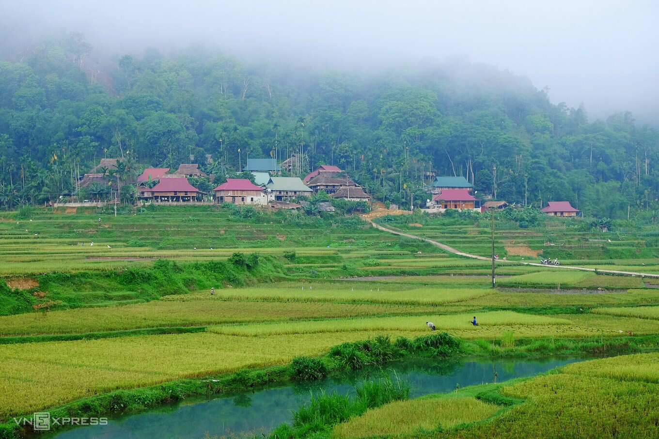 5 experiences to escape the summer heat in Pu Luong nature reserve 5 experiences to escape the summer heat in Pu Luong nature reserve