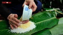 tham hoa banh chung tet khien cu dan mang cuoi nghieng nga