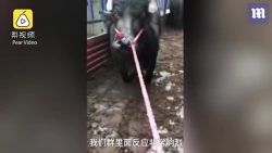 video thot tim man giai cuu nguoi phu nu nhay tu tang 15 de tu tu